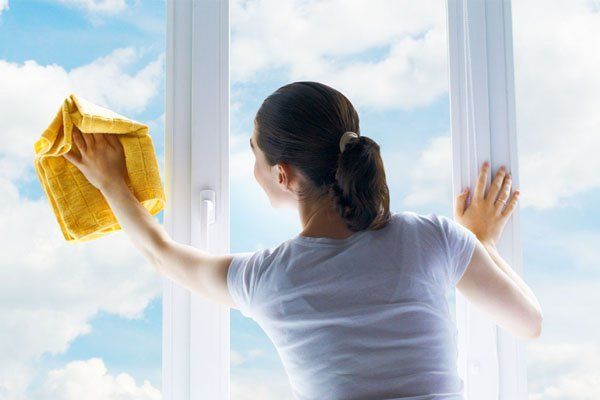 «Фонтанка» борется с разводами. Как вымыть окна и не распсиховаться: инструкция для чайников